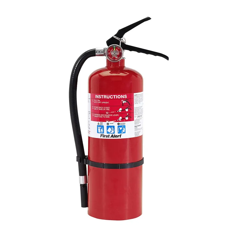 SK0461869-US20260702-105043-0 TRUE VALUE HOME2 2A 10BC EXTINGUISHER EA - Image 1