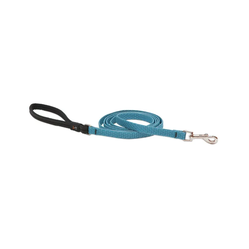 SK0462202-US20260702-105043-0 True Value 36339 1/2X6 TS Dog Leash - Image 1
