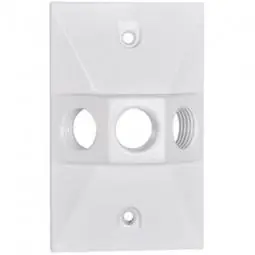 TRUE VALUE RE-3-W White Weatherproof Rectangular Lampholder Cover