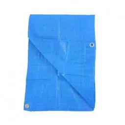 SK0462430-US20260702-105043-0 TRUE VALUE KT-LT1012B 10X12 BLU LD POLY TARP - Image 1