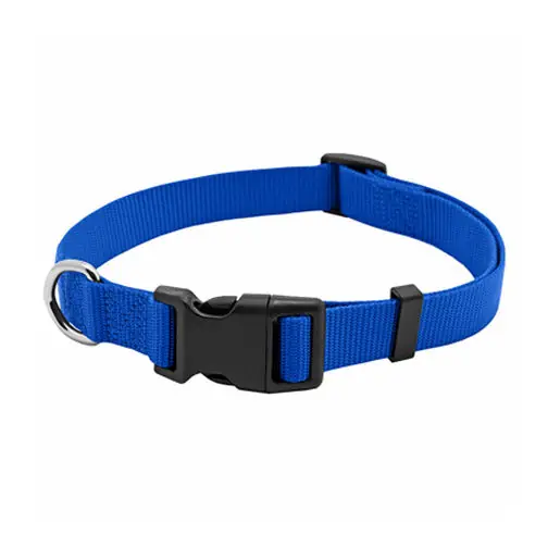 SK0462533-US20260702-105043-0 True Value PE223885 PE 1X26 Blue Dog Collar - Image 1