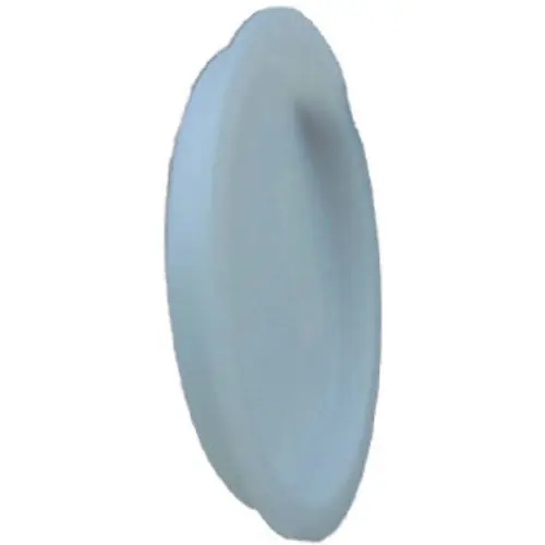 True Value PVC001310800HA 70172 2 Inch PVC Pipe Test Cap