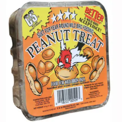 SK0463225-US20260702-105043-0 True Value 12509 11OZ Peanut Suet Cake - Image 1