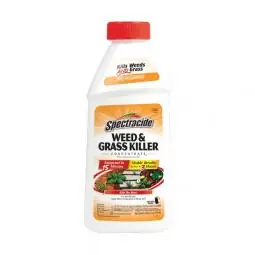 True Value TV223587 16OZ Weed/Grass Killer