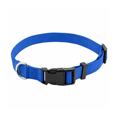 SK0463687-US20260702-105043-0 TRUE VALUE PE223886 PE3/4X20 BLU DOG COLLAR - Image 1