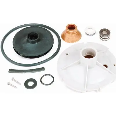 SK0464924-US20260702-105043-0 True Value FPP1523-P2 Overhaul Repair Kit For .5-HP Fiberglass Shallow-Well Jet Pump - Image 1