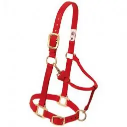 True Value 35-7035-RD Weaver Leather Horse Halter, Snap, Red Nylon, 1-In., Average/Weanling Draft