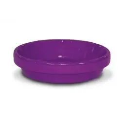 SK0466705-US20260702-105043-0 True Value PCSA-6-W 6 Viol Saucer - Image 1