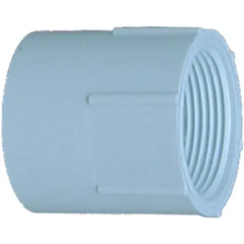 TRUE VALUE 30307 3/4 White SxT Female Adapter