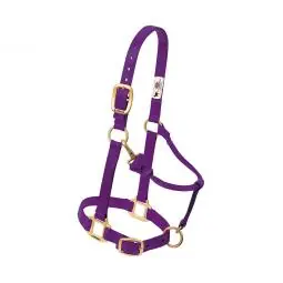 TRUE VALUE 35-7035-PU Weaver Leather Horse Halter With Snap Adjustable Hunter Green Nylon 1-In. Small