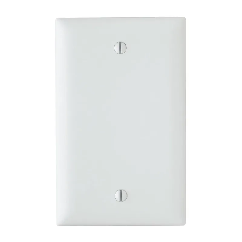 SK0468281-US20260702-105043-0 TRUE VALUE TP13WCC30 Wall Plate, Blank, White Nylon - Image 1