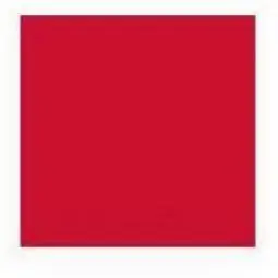 TRUE VALUE 24305 22X28 RED POSTERBOARD