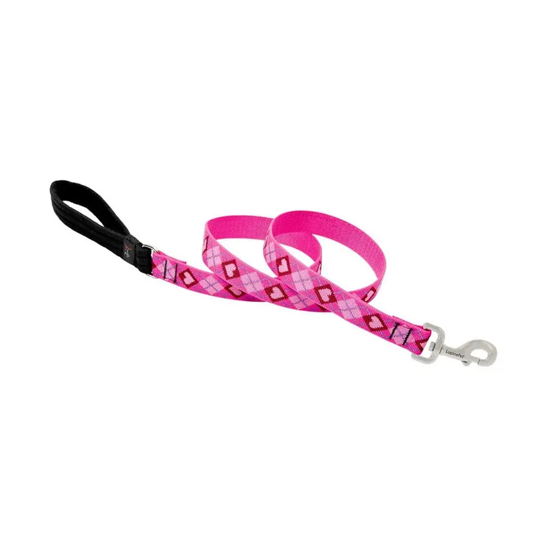 SK0469112-US20260702-105043-0 True Value 14259 1X6 PL DOG LEASH EA - Image 1