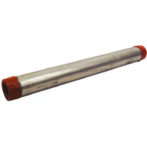 SK0469160-US20260702-105043-0 TRUE VALUE 564-480HC 3/4x48 Galv Pipe - Image 1