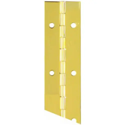 SK0469415-US20260702-105043-0 TRUE VALUE N148-155 Continuous Hinge with Screws - 1-1/2 Inch x 30 Inch - Image 1