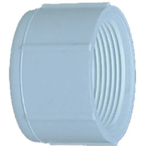 SK0469446-US20260702-105043-0 TRUE VALUE 30169 1-1/4 inch White Cap Threaded - Image 1