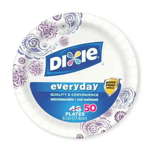 TRUE VALUE 15123 Dixie 48PK 6 HD Plates