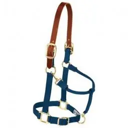 TRUE VALUE 35-6024-NV Weaver Leather Horse Halter Breakaway Navy Nylon/Leather 1-In. Small/Weanling