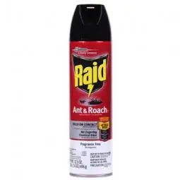 TRUE VALUE 11717 Raid Ant & Roach Killer, 17.5-oz. Aerosol