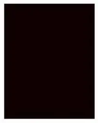 TRUE VALUE 24309 22X28 BLK POSTERBOARD
