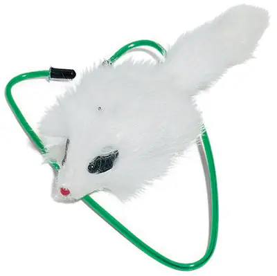 True Value 2427 A-Door-Able Bouncing Mouse Cat Toy Hangs On Any Size Door Frame