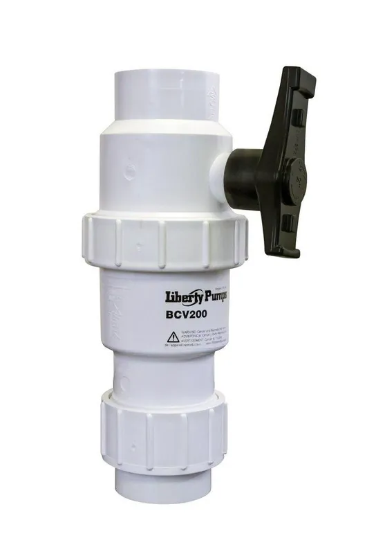 SK0472533-US20260702-105043-0 Liberty Pumps BCV200 2 in. Plastic Check Valve - Image 1