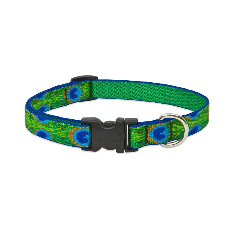 TRUE VALUE 32634 1/2X8-1/2 TF DOG COLLAR EA