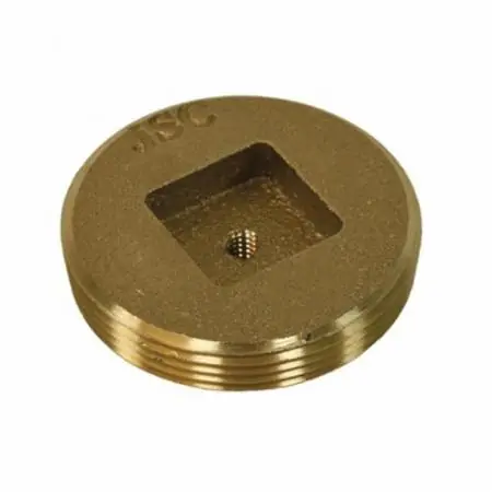 Jones Stephens P54300 3 EXT COVER BRASS PLUG CSK