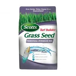 SK0473581-US20260702-105043-0 TRUE VALUE 18260 3Lb Perennial Rye Seed - Image 1