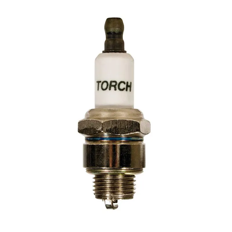 True Value 8611 CHAM J19LM SM ENG PLUG