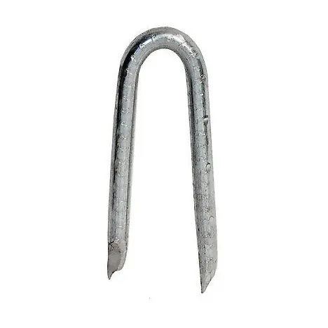SK0473941-US20260702-105043-0 TRUE VALUE 461296 LB 3/4 POULTRY STAPLE EA - Image 1