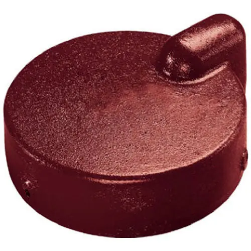 TRUE VALUE WC622 WATER SOURCE 6 Ci Well Cap
