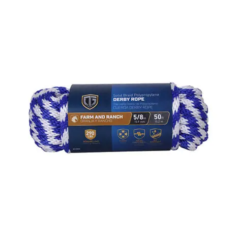 SK0474393-US20260702-105043-0 True Value 643761 TG 3/8X50BLU DERBY ROPE - Image 1