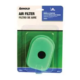 SK0475431-US20260702-105043-0 TRUE VALUE BAF-111 Arnold Briggs Replacement Air Filter - Image 1
