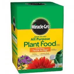 True Value 2000992 Miracle-Gro 8-oz. 24-8-16 All-Purpose Plant Food