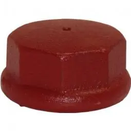 SK0477287-US20260702-105043-0 TRUE VALUE DC200 Water Source Well Point Drive Cap, Cast Iron, 2-In. - Image 1