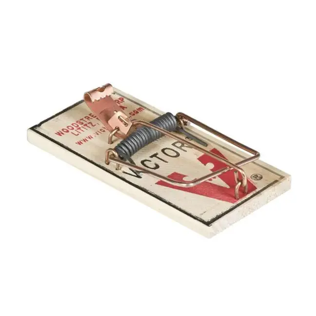 SK0477307-US20260702-105043-0 TRUE VALUE M150 2-Pack Metal Pedal Mouse Trap - Image 1