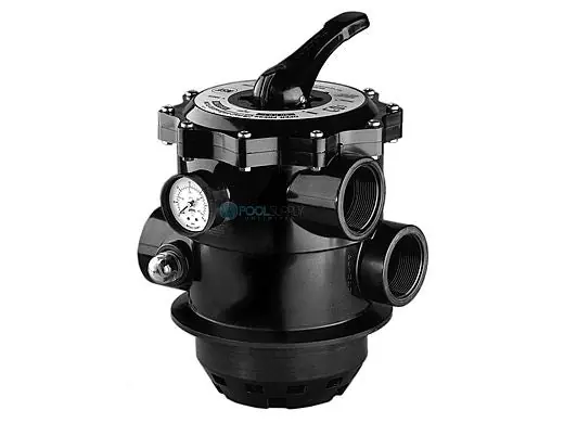 Pentair 262505 Tagelus Conversion Kit with Valve