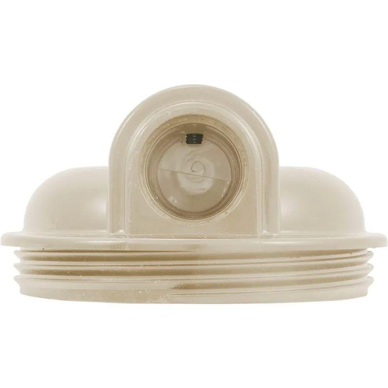 Pentair R172213S Manifold Only 1.5