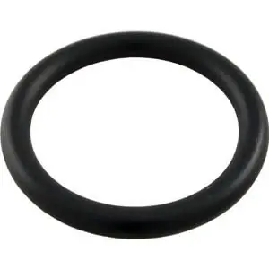 Pentair 51005000 Drain Plug O-Ring