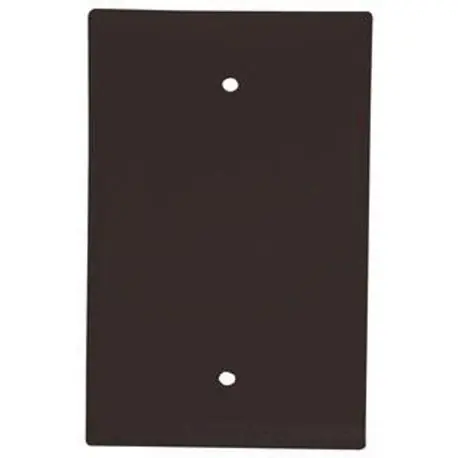 SK0485879-US20260702-105043-0 EATON 2029B-BOX Eaton Wiring Devices 2000 Mid-Sized Blank Wallplate 1 Gang - Image 1