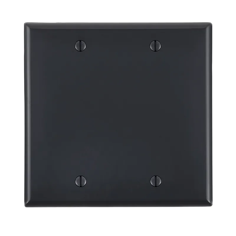 Leviton 80725-E 2-Gang 2-Blanks Box Mounted Black Standard Size Nylon Wallplate