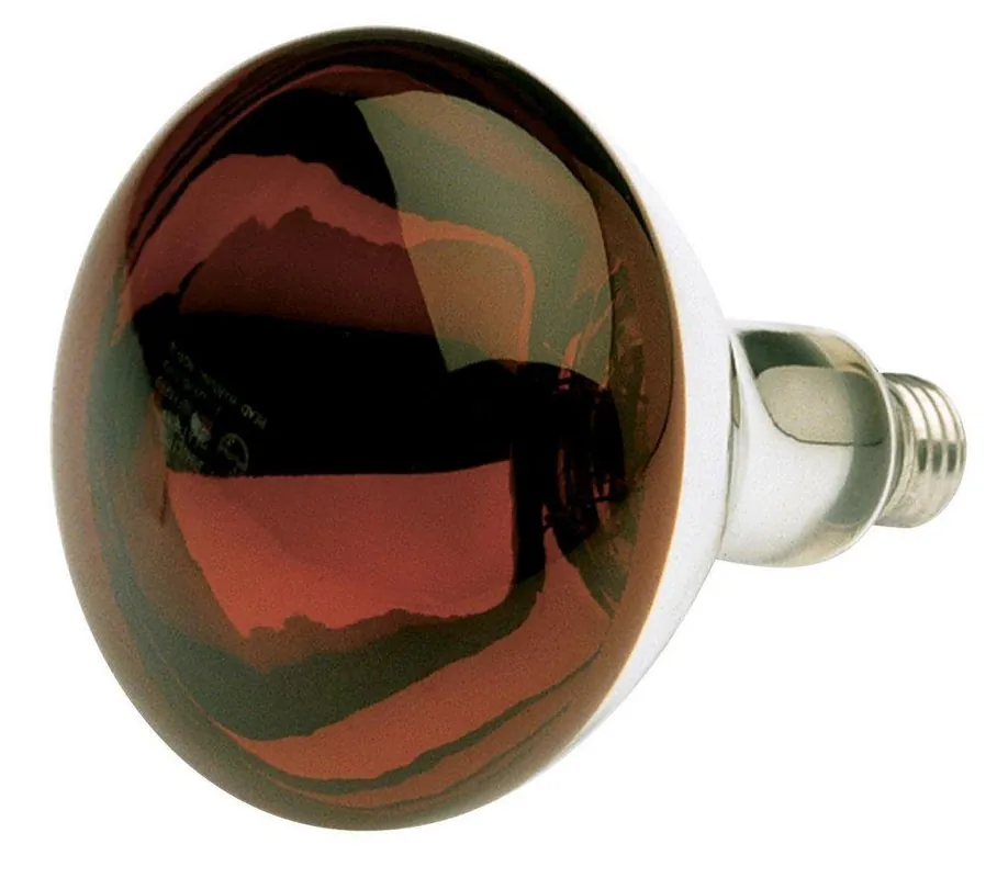 SK0488281-US20260702-105043-0 SATCO S4884 250W R40 Dimmable Incandescent Light Bulb with Medium Base - Image 1