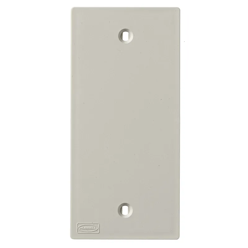 SK0491404-US20260702-105043-0 Hubbell KP14 HUB Polytrak Blank Plate - Image 1