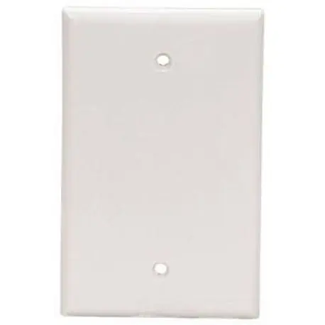 SK0493651-US20260702-105043-0 EATON 2029W-BOX Eaton Wiring Devices 2000 Mid Sized Blank Wallplate 1 Gangs - Image 1