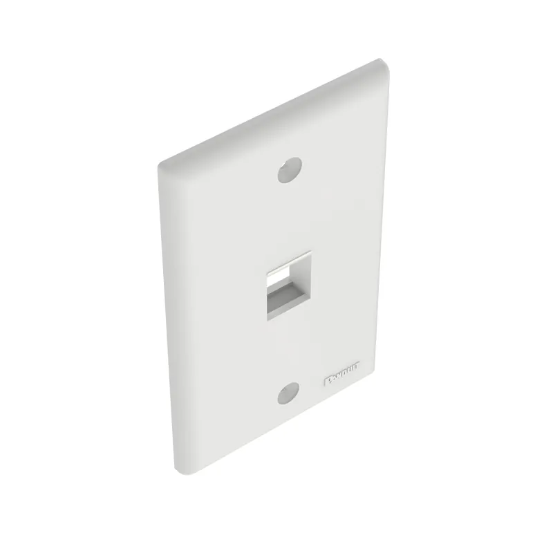 Panduit NK1FNWH NetKey 1 Position Vert