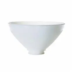 SK0494360-US20260702-105043-0 SATCO 50/167 I.E.S. Shade 10 In Diameter 2-7/8 In Fitter 5-1/2 In Height - Image 1