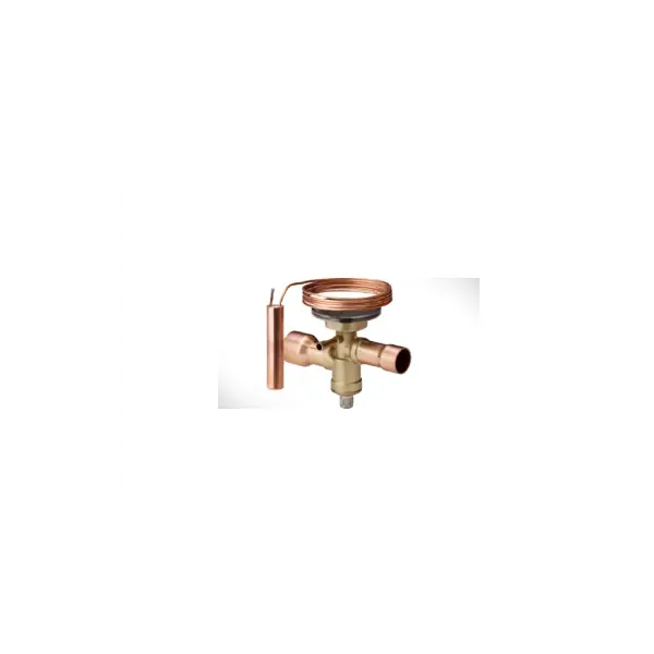 EXP VLV HEAD ASSY