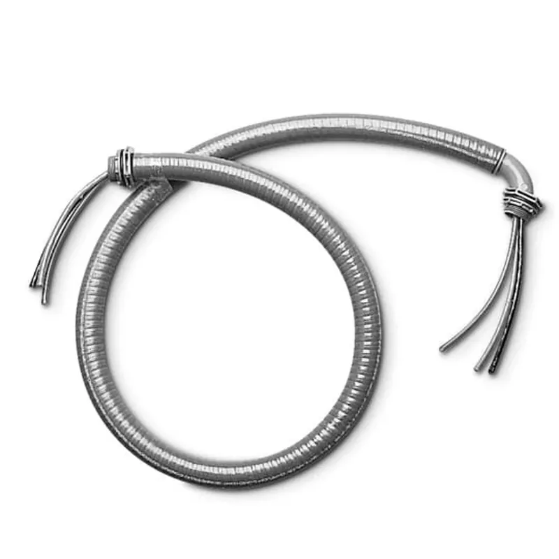 SK0506551-US20260702-105043-0 CARLON WCD3106 Carflex Liquidtight Whip, 1/2 Inch, 10 Gauge, Stranded, 6 Ft - Image 1