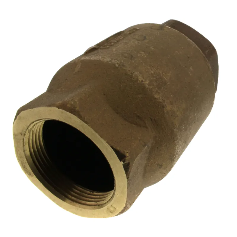 SK0506705-US20260702-105043-0 Apollo Valves 6110901 2-1/2 Threaded Bronze Spring Check Valve - Image 1